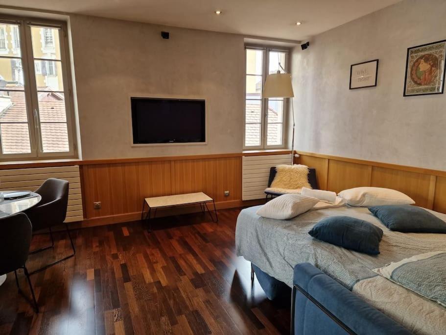 Appartement Annecy Centre Historique Parking Inclus المظهر الخارجي الصورة